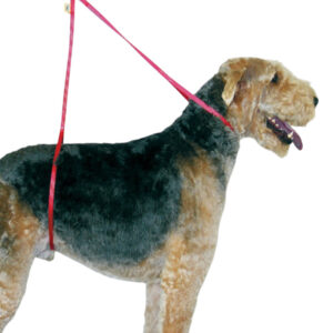 Canis Body Restraint